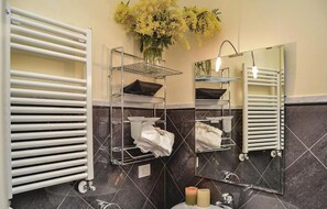 Douche, séchoir à cheveux, bidet
