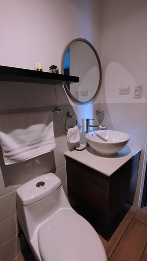 Hair dryer, towels, soap, toilet paper