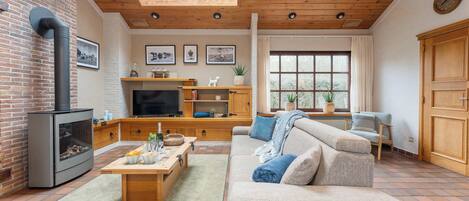 Fernseher, Arbeitsbereiche