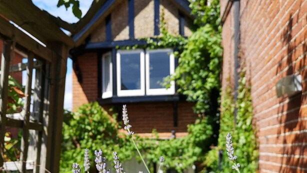 A narrow alleyway with a brick building, a window with white frames, and a plant with purple flowers. - Thin End (Seaview)