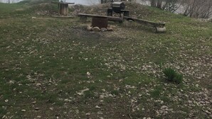 A grassy area with a grill and a bench, surrounded by trees and a body of water.