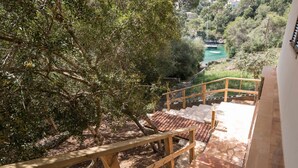 Un escalier en bois offrant une vue sur une rivière et des arbres.