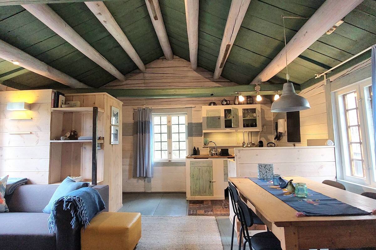 A cozy cabin interior with a wooden dining table, a sofa, and a kitchen area with cabinets and a hanging light fixture.