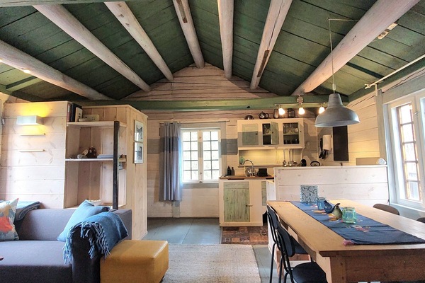 Traditional Cabin, 1 Bedroom, Patio, Mountain View | Premium bedding, free WiFi, bed sheets