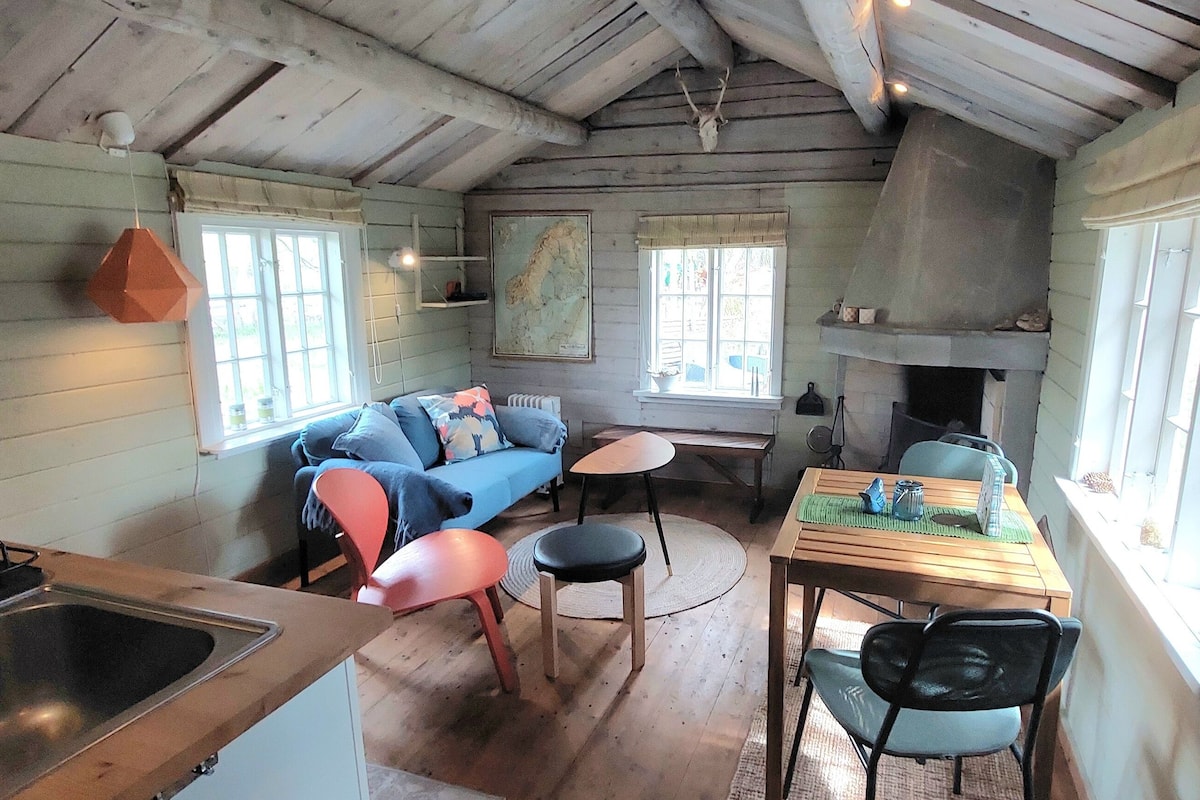 Traditional Cabin, Patio, Mountain View | 1 bedroom, premium bedding, free WiFi, bed sheets