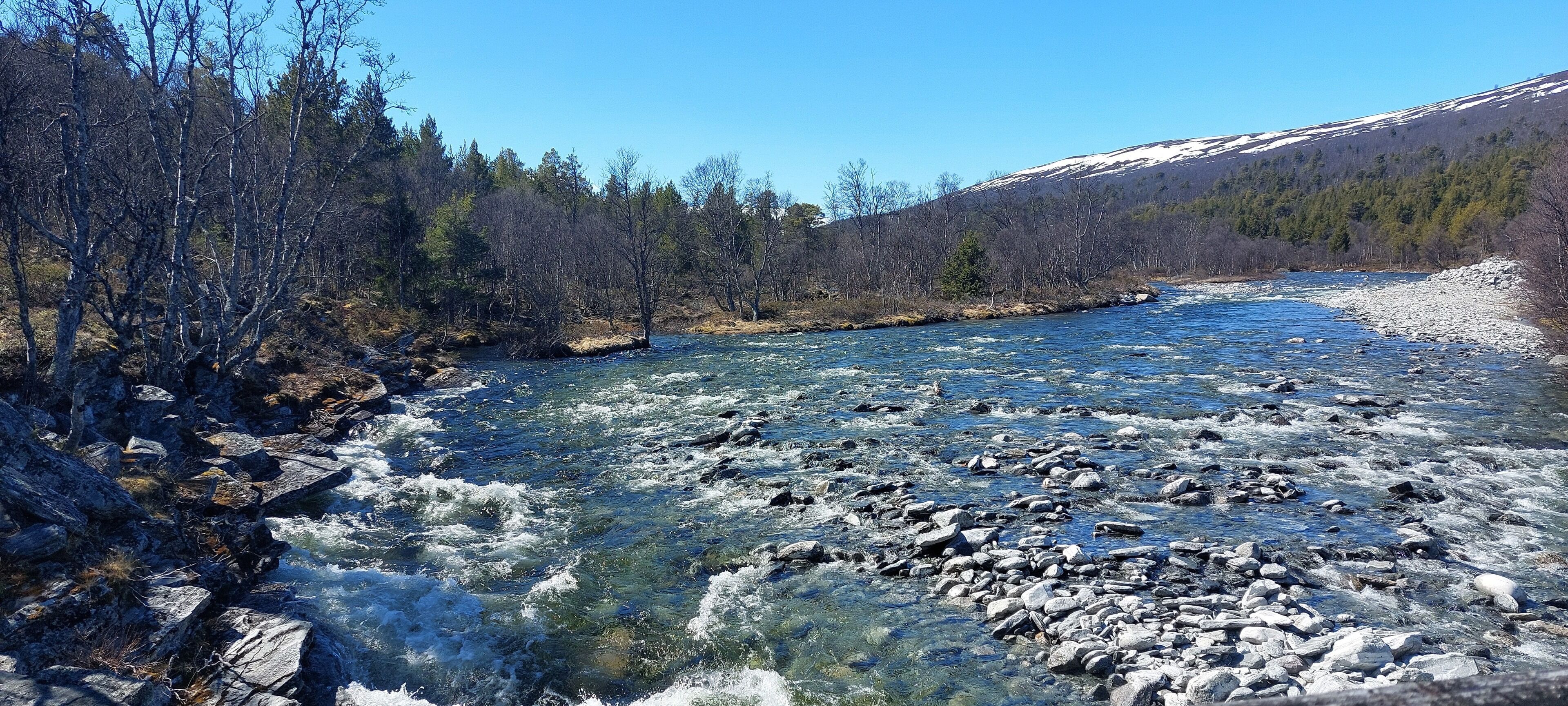A river with clear water flowing over rocks, surrounded by trees and a snow-capped hill in the background.