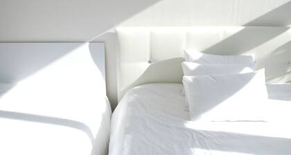 Quiet and beautiful accommodation in Gangnam Core, Seoul