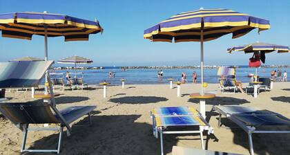 Hotel vacation just 50 m from the beach, your 4-legged friend admitted for free