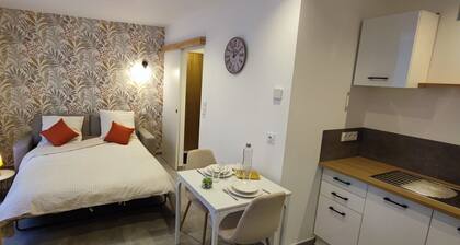 Cosy Apartment La Roche Sur Yon