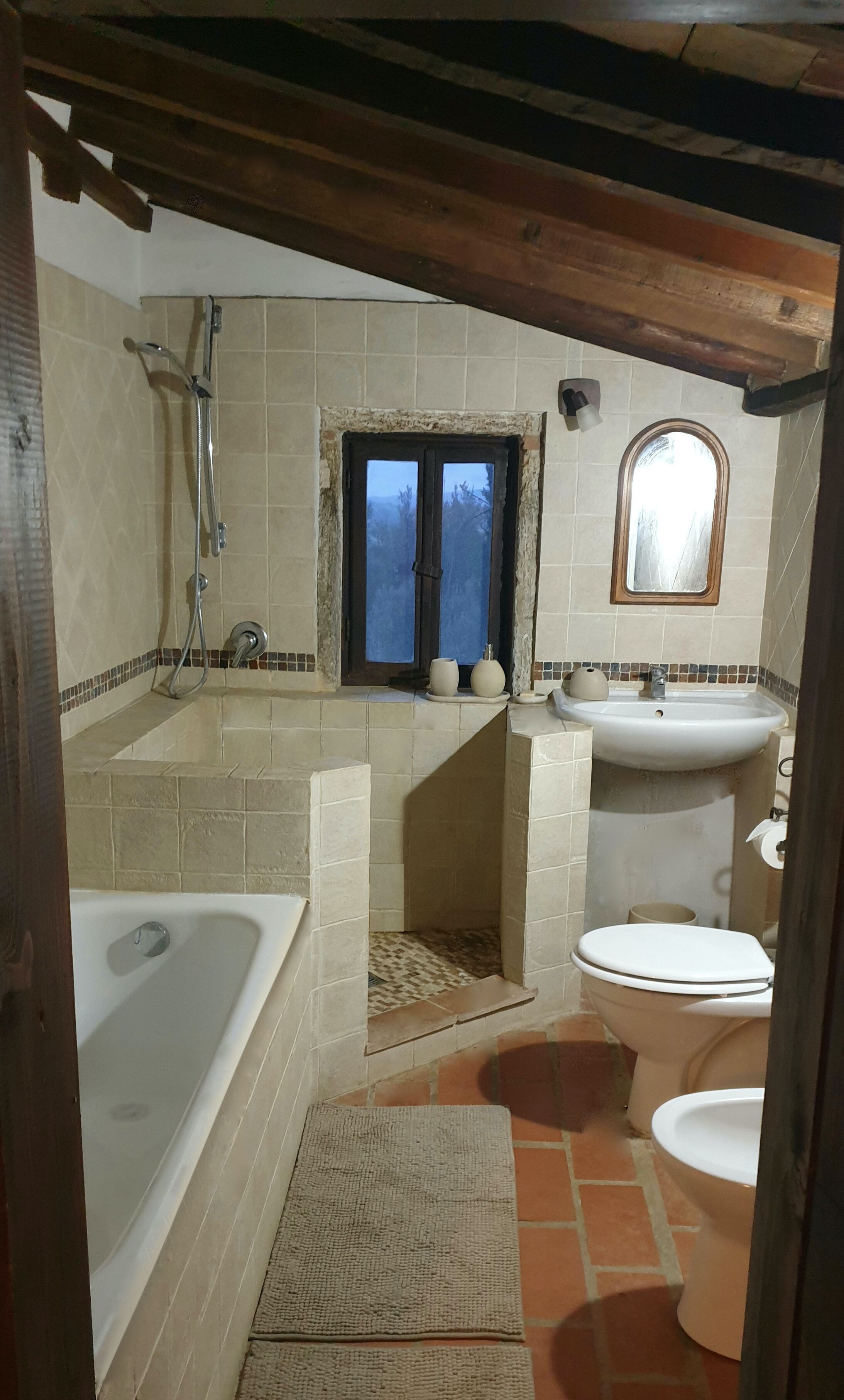 Shower, hair dryer, bidet, towels