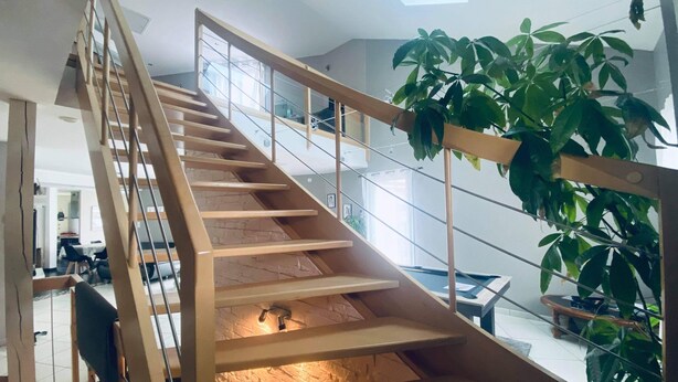 Een moderne trap met houten leuningen en een glazen balustrade, leidend naar een verdieping. Een grote groene plant is aan de rechterkant van de trap zichtbaar.