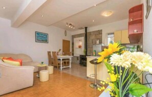 TV, caminetto, libri