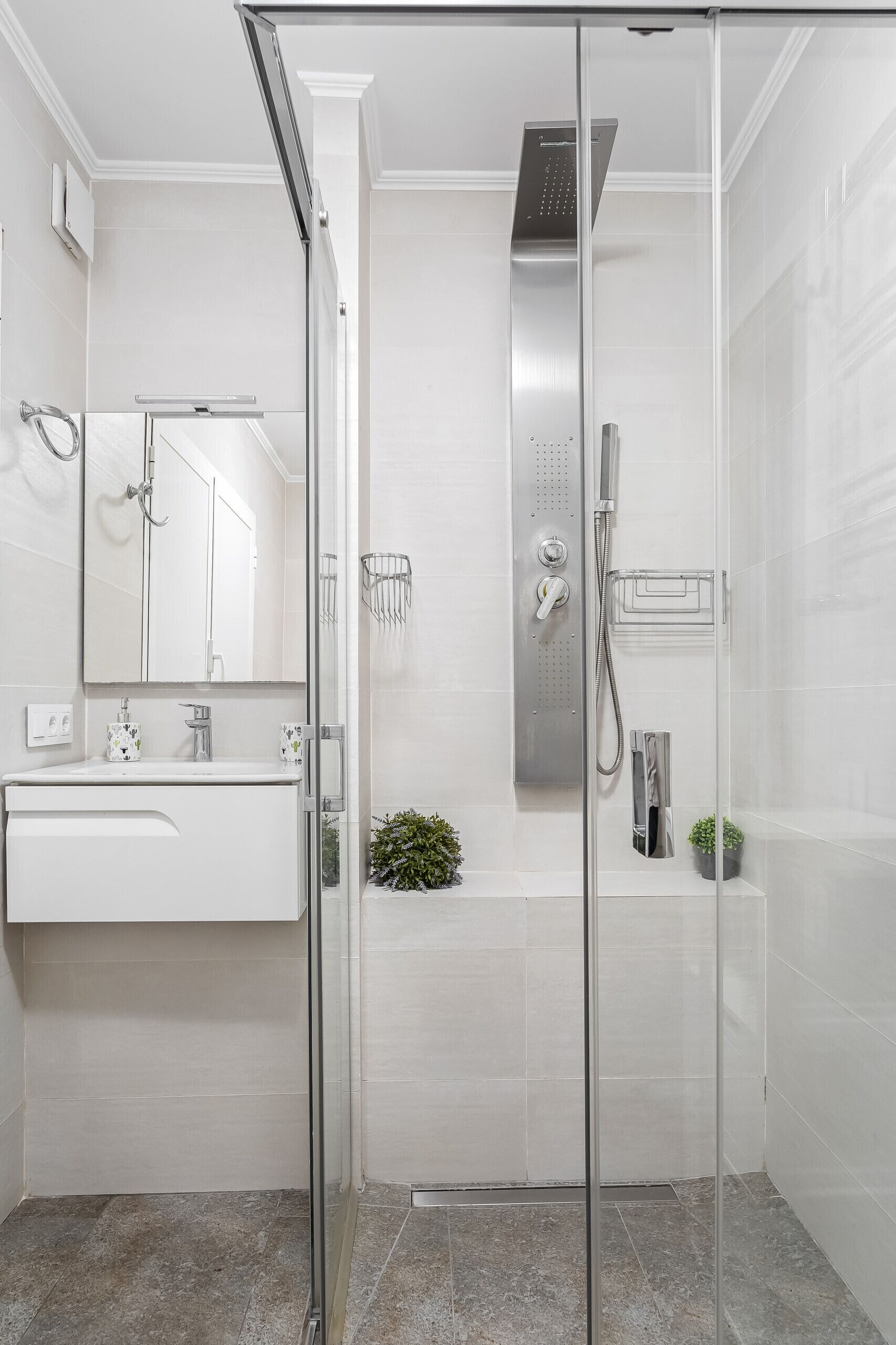 Une salle de bain moderne avec une douche en verre, un lavabo blanc avec un miroir et une petite plante en pot.