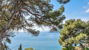 A coastal view with a clear sky, trees, and a body of water. - Villa, Private Pool, 5-Minute Walk to the Beach (La Herradura)