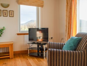 電視、壁爐、DVD 播放機