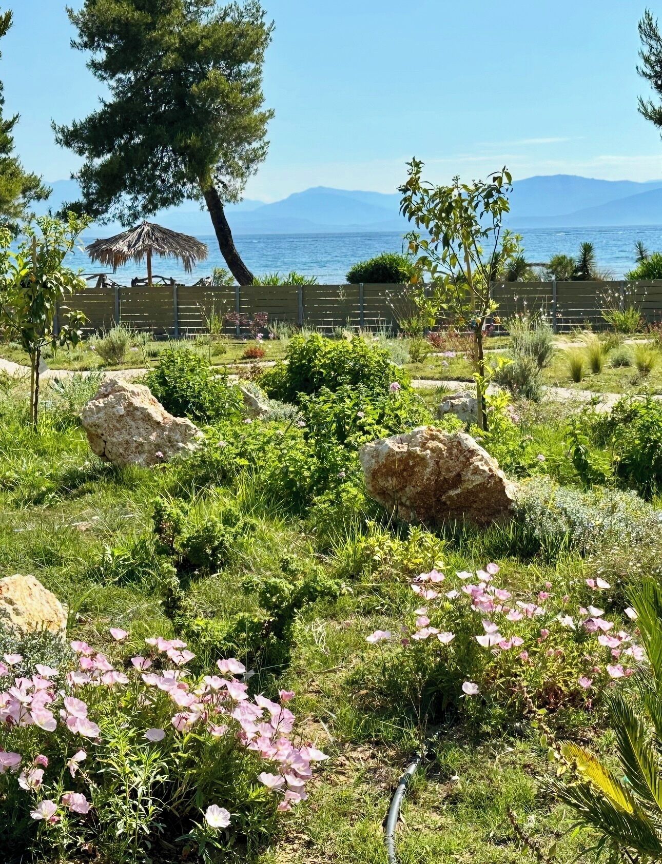 Áreas de la propiedad