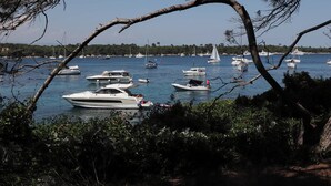 A marina with various boats docked, surrounded by dense greenery and trees. - VILLA LA MASCOTTE PLUS IN CANNES (Cannes)