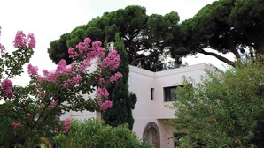 A building with a pink facade, surrounded by lush greenery and trees. - VILLA LA MASCOTTE PLUS IN CANNES (Cannes)