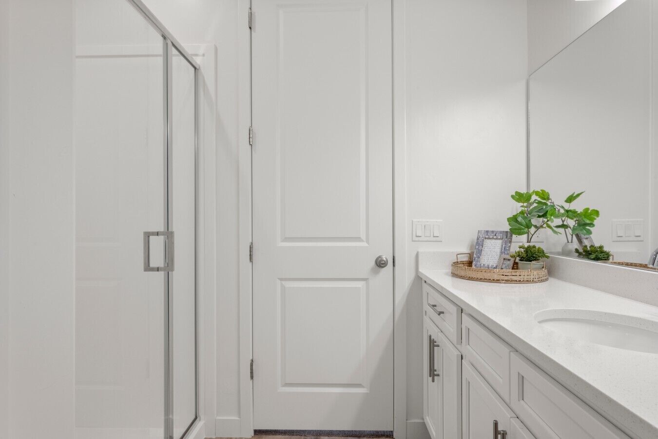 Une salle de bain blanche avec une porte fermée, un meuble-lavabo avec un miroir et une petite plante posée sur le comptoir.