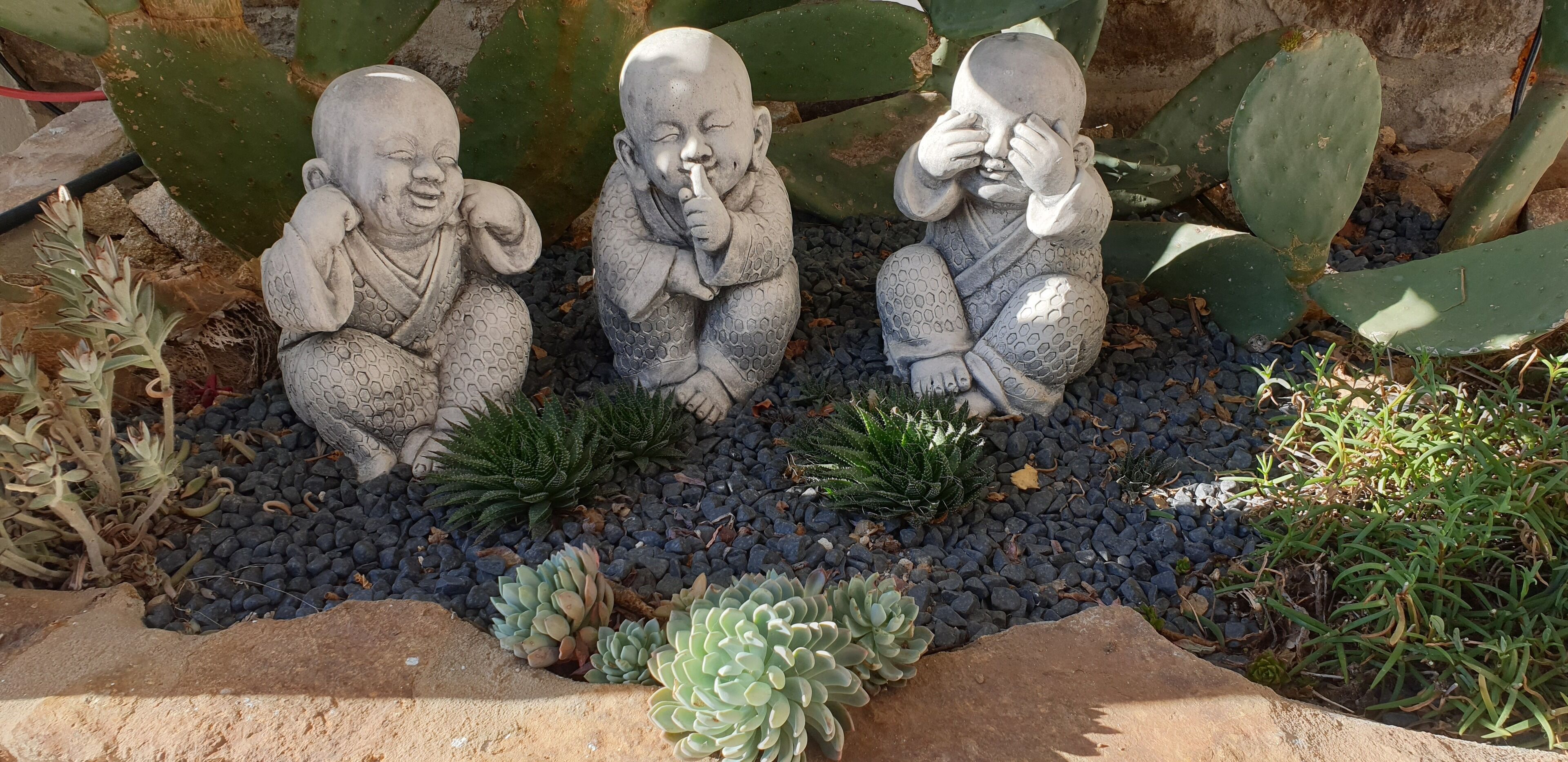 Three stone Buddha statues in a garden setting with cacti and succulents.