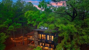 A modern two-story house surrounded by dense pine trees, with string lights visible in the background.
