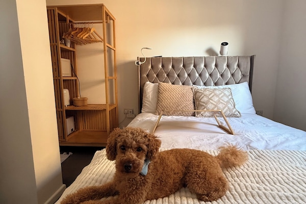 1 bedroom, in-room safe, desk, iron/ironing board