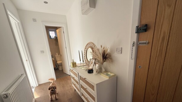 Un couloir avec une commode blanche, un miroir et des objets décoratifs. Un chien se promène dans le couloir.