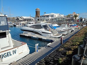 Unclassified image, 2 of 36, button