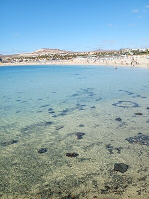 Unclassified image, 5 of 36, button