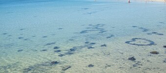 Duplex Apartment, with private garden, in quiet complex