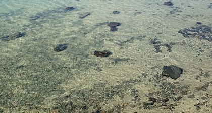 Duplex Apartment, with private garden, in quiet complex