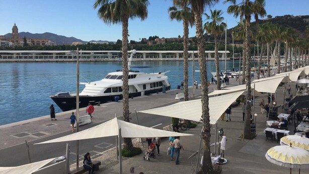 Un puerto deportivo con barcos, palmeras y un edificio a lo lejos.