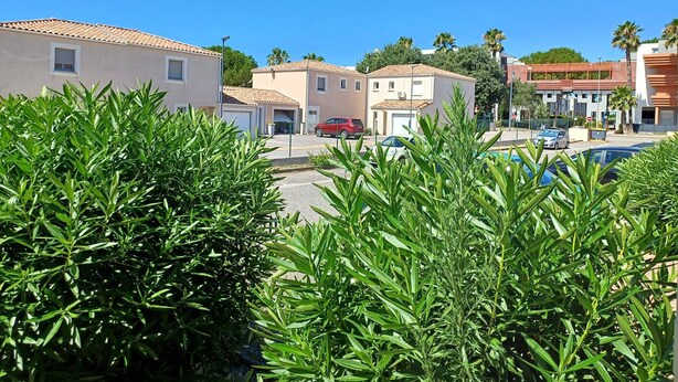 A residential area with houses, a red car, and lush greenery.