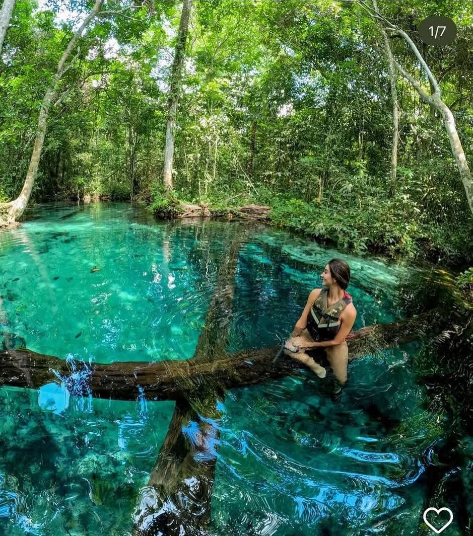 A person sitting on a log in a clear, turquoise body of water surrounded by dense greenery.