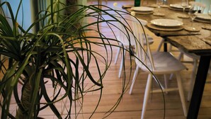 A dining area with a wooden table set for a meal, a potted plant in the foreground, and a window with a view of the outside. - Clementenia (Arneguy)