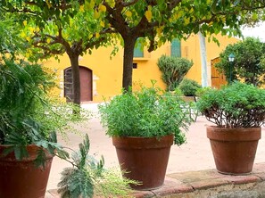 Balcony - Farmhouse Near Portaventura and Salou Beach (Riudoms)