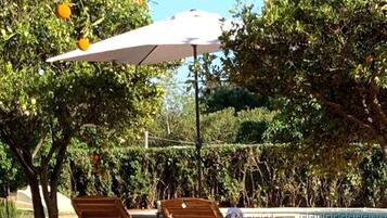 House | Pool | Indoor pool, outdoor pool