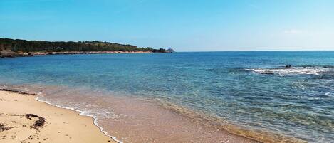 Plage à proximité, serviettes de plage