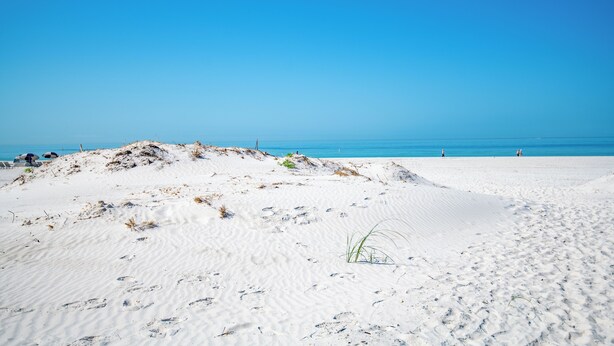 Una playa arenosa con huellas y vegetación escasa.