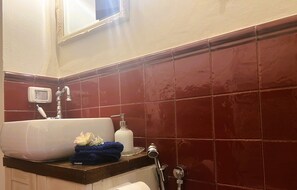 Shower, hair dryer, bidet, towels