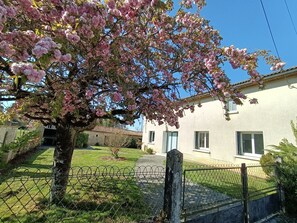 Property grounds - Longhouse rental (Brux)