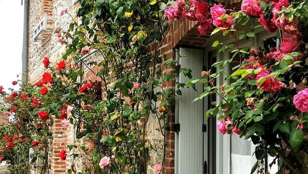 A brick building with a white door and windows, covered in pink and red roses. - Apartment le Beluga - near the sea - center of Veules-Les-Roses (Veules-les-Roses)