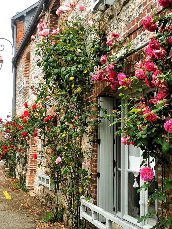 Detalle del exterior