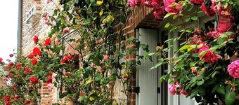 Apartment le Beluga - near the sea - center of Veules-Les-Roses