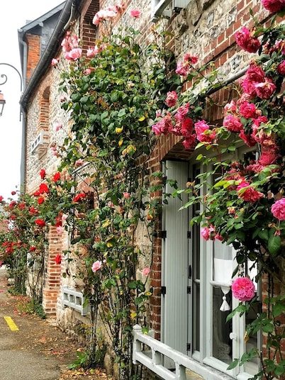 Apartment le Beluga - near the sea - center of Veules-Les-Roses
