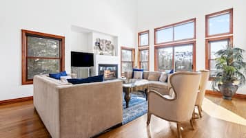 Smart TV, fireplace, books, offices