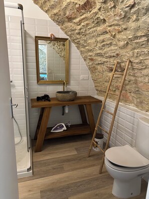 Shower, hair dryer, towels, toilet paper - La Grange aux rougequeues Gîte 2 (Lozère)
