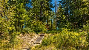 Ein bewaldetes Gebiet mit einer hölzernen Treppe, die zu einer Hütte führt.