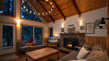 TV connectée, cheminée, lecteur de DVD, livres