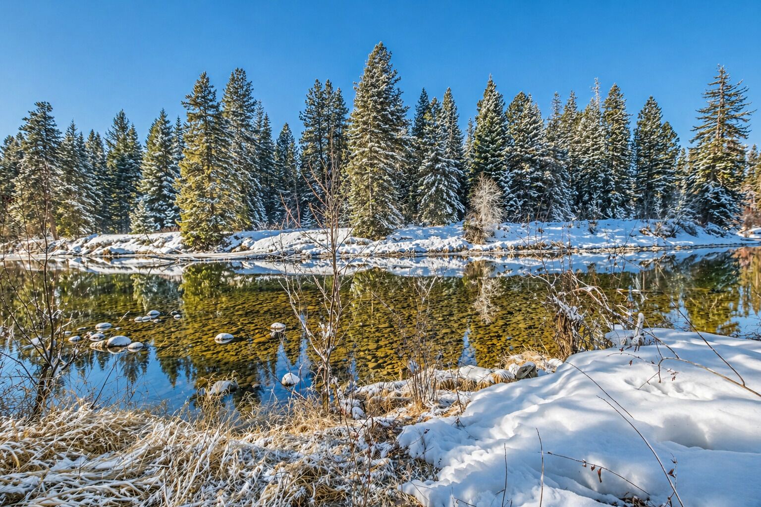 Un paysage hivernal paisible, avec un lac aux eaux limpides, des arbres couverts de neige et un étang gelé.